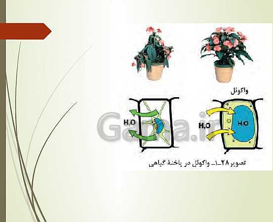 پاورپوینت زیست شناسی فنی دهم هنرستان | فصل 1: حیات و زیست شناسی- پیش نمایش