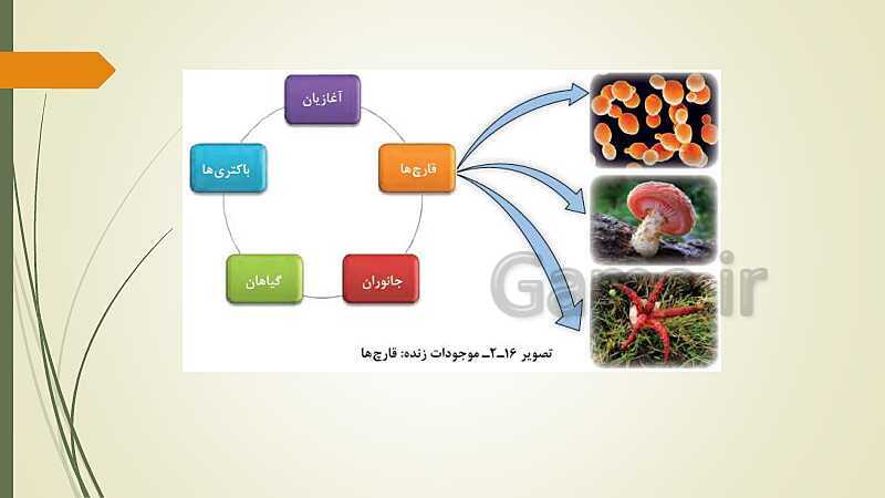 پاورپوینت تدریس زیست شناسی فنی دهم هنرستان | فصل 2: موجودات زنده- پیش نمایش