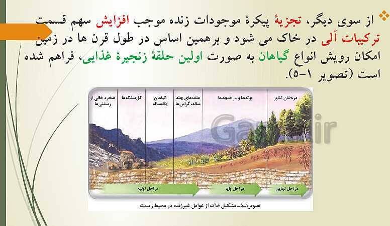 پاورپوینت تدریس زیست شناسی فنی دهم هنرستان | فصل 5: محیط زیست- پیش نمایش