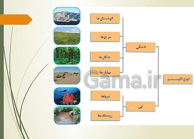 پاورپوینت تدریس زیست شناسی فنی دهم هنرستان | فصل 5: محیط زیست- پیش نمایش