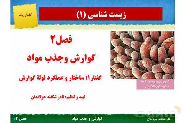 پاورپوینت تدریس گفتار 1 فصل 2 زیست دهم: ساختار و عملکرد لوله گوارش