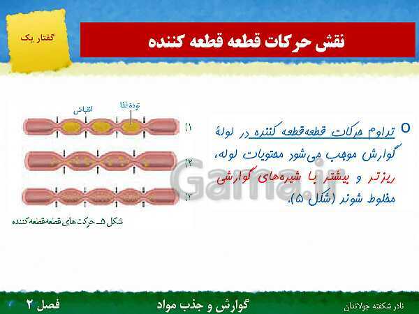 پاورپوینت تدریس گفتار 1 فصل 2 زیست دهم: ساختار و عملکرد لوله گوارش- پیش نمایش