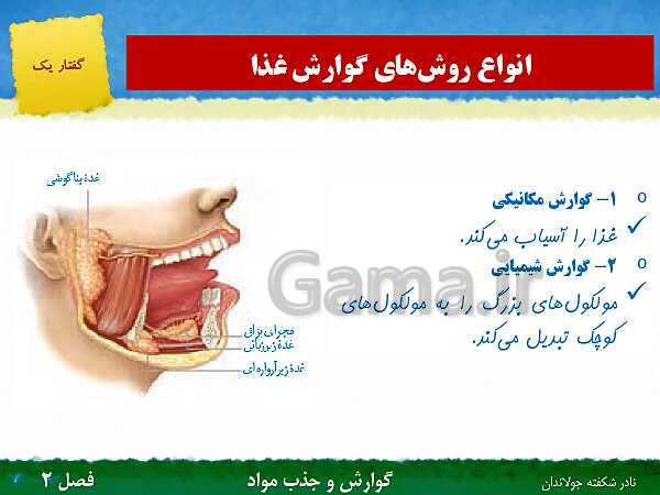 پاورپوینت تدریس گفتار 1 فصل 2 زیست دهم: ساختار و عملکرد لوله گوارش- پیش نمایش