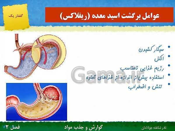 پاورپوینت تدریس گفتار 1 فصل 2 زیست دهم: ساختار و عملکرد لوله گوارش- پیش نمایش