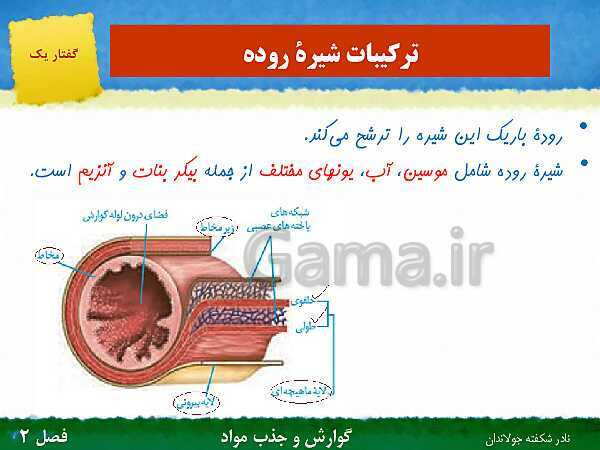 پاورپوینت تدریس گفتار 1 فصل 2 زیست دهم: ساختار و عملکرد لوله گوارش- پیش نمایش