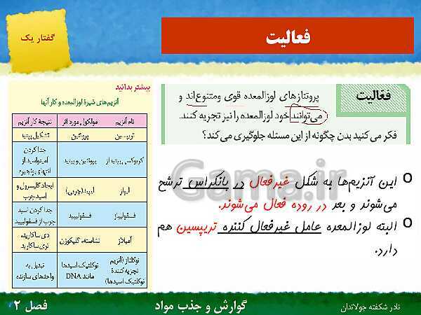 پاورپوینت تدریس گفتار 1 فصل 2 زیست دهم: ساختار و عملکرد لوله گوارش- پیش نمایش