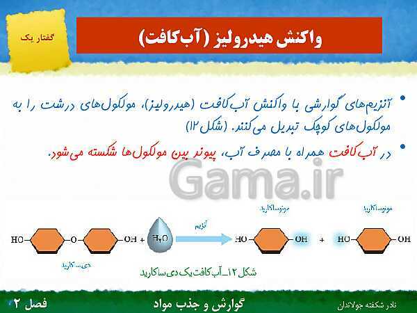 پاورپوینت تدریس گفتار 1 فصل 2 زیست دهم: ساختار و عملکرد لوله گوارش- پیش نمایش