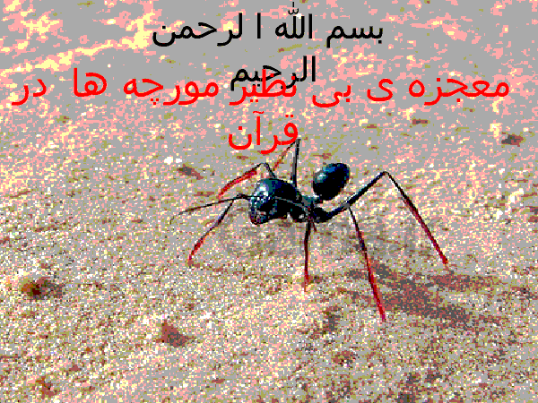 پاورپوینت آموزش قرآن کلاس هشتم | معجزه‌ی بی‌نظیر مورچه‌ها در قرآن - پیش نمایش