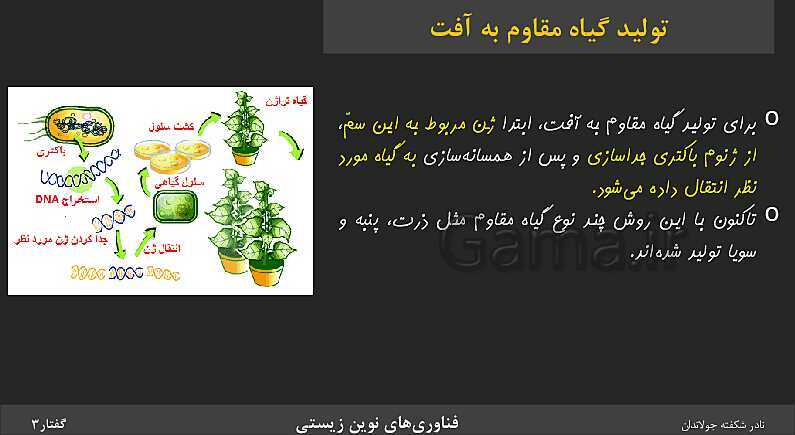 پاورپوینت تدریس گفتار 3 فصل 7 زیست دوازدهم: کاربردهای زیست فناوری- پیش نمایش