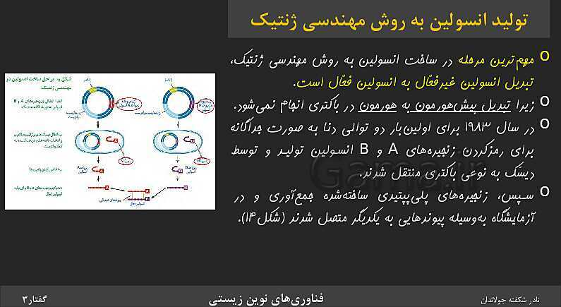 پاورپوینت تدریس گفتار 3 فصل 7 زیست دوازدهم: کاربردهای زیست فناوری- پیش نمایش