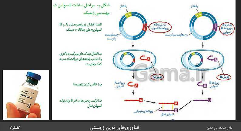 پاورپوینت تدریس گفتار 3 فصل 7 زیست دوازدهم: کاربردهای زیست فناوری- پیش نمایش