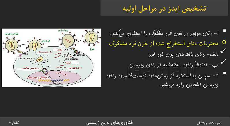 پاورپوینت تدریس گفتار 3 فصل 7 زیست دوازدهم: کاربردهای زیست فناوری- پیش نمایش