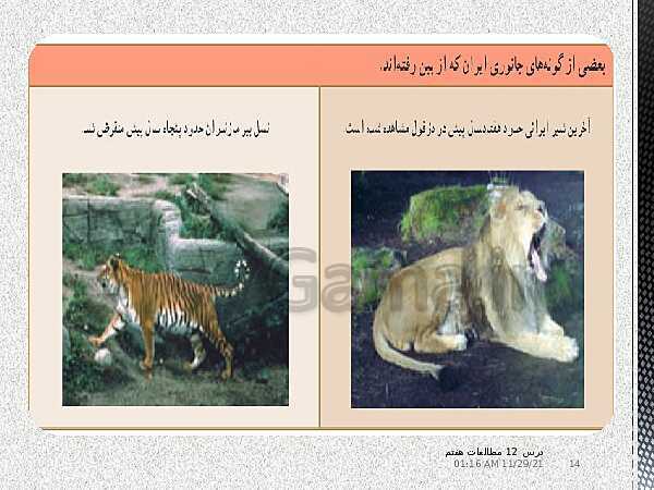 پاورپوینت مطالعات اجتماعی هفتم  | درس 12: حفاظت از زیستگاه‌های ایران- پیش نمایش