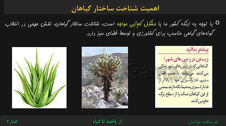 پاورپوینت تدریس گفتار 3 فصل 6 زیست دهم: ساختار گیاهان- پیش نمایش