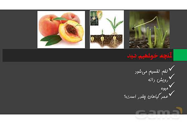پاورپوینت زیست شناسی (2) یازدهم | فصل 8 | گفتار 3: از یاخته تخم تا گیاه- پیش نمایش