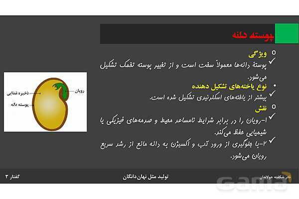 پاورپوینت زیست شناسی (2) یازدهم | فصل 8 | گفتار 3: از یاخته تخم تا گیاه- پیش نمایش