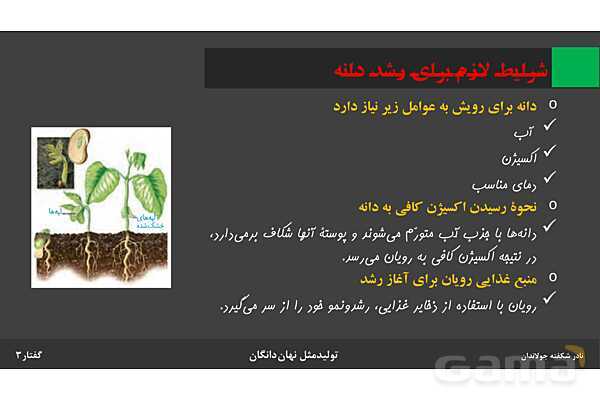 پاورپوینت زیست شناسی (2) یازدهم | فصل 8 | گفتار 3: از یاخته تخم تا گیاه- پیش نمایش