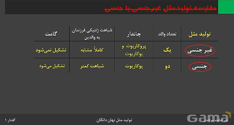 پاورپوینت زیست شناسی (2) یازدهم | فصل 8 | گفتار 1: تولید مثل غیرجنسی- پیش نمایش