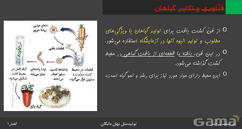 پاورپوینت زیست شناسی (2) یازدهم | فصل 8 | گفتار 1: تولید مثل غیرجنسی- پیش نمایش