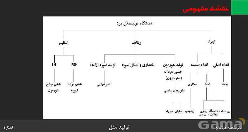 پاورپوینت زیست شناسی (2) یازدهم | فصل 7 | گفتار 1: دستگاه تولید مثل در مرد- پیش نمایش