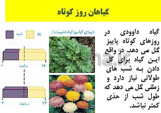 پاورپوینت زیست شناسی (2) یازدهم | فصل نهم_گفتار 2: پاسخ به محیط- پیش نمایش