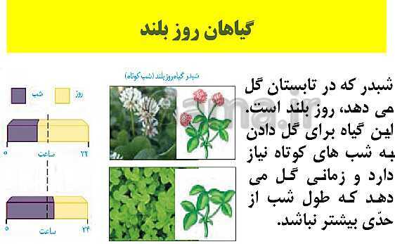 پاورپوینت زیست شناسی (2) یازدهم | فصل نهم_گفتار 2: پاسخ به محیط- پیش نمایش