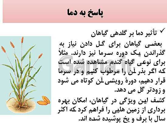 پاورپوینت زیست شناسی (2) یازدهم | فصل نهم_گفتار 2: پاسخ به محیط- پیش نمایش