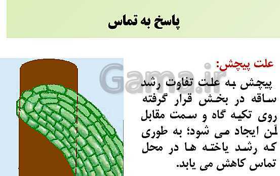 پاورپوینت زیست شناسی (2) یازدهم | فصل نهم_گفتار 2: پاسخ به محیط- پیش نمایش