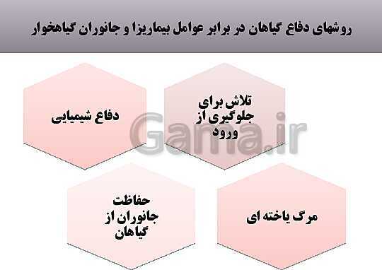 پاورپوینت زیست شناسی (2) یازدهم | فصل نهم_گفتار 2: پاسخ به محیط- پیش نمایش