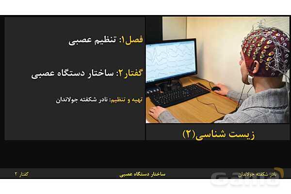 پاورپوینت زیست شناسی (2) یازدهم | فصل 1 | گفتار 2: ساختار دستگاه عصبی