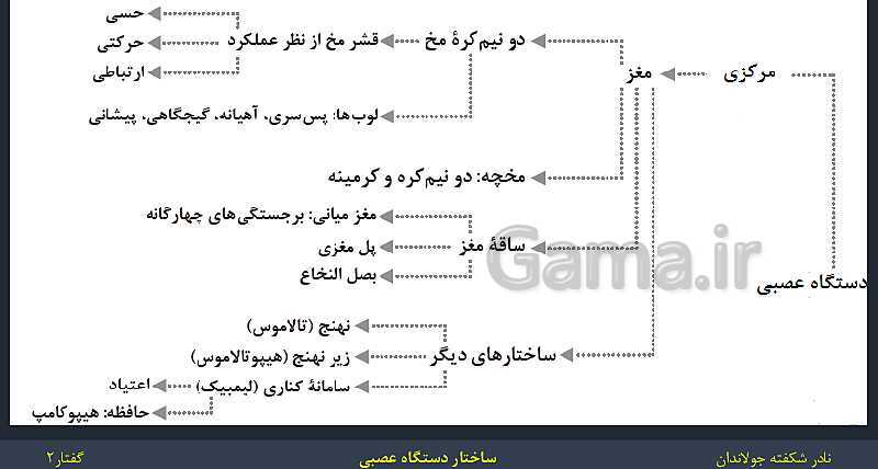 پاورپوینت زیست شناسی (2) یازدهم | فصل 1 | گفتار 2: ساختار دستگاه عصبی- پیش نمایش