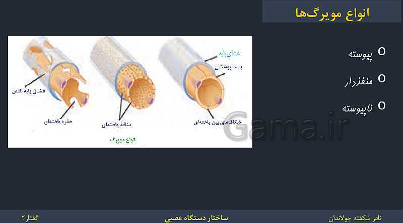 پاورپوینت زیست شناسی (2) یازدهم | فصل 1 | گفتار 2: ساختار دستگاه عصبی- پیش نمایش