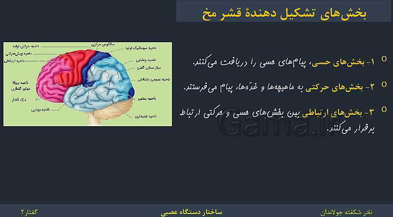 پاورپوینت زیست شناسی (2) یازدهم | فصل 1 | گفتار 2: ساختار دستگاه عصبی- پیش نمایش