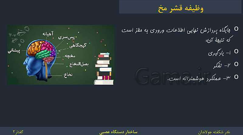 پاورپوینت زیست شناسی (2) یازدهم | فصل 1 | گفتار 2: ساختار دستگاه عصبی- پیش نمایش