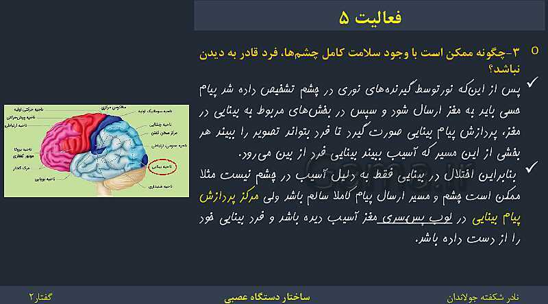 پاورپوینت زیست شناسی (2) یازدهم | فصل 1 | گفتار 2: ساختار دستگاه عصبی- پیش نمایش