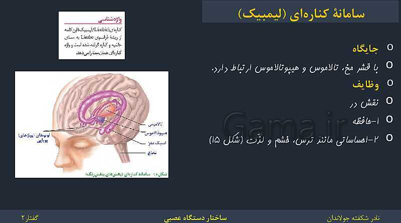 پاورپوینت زیست شناسی (2) یازدهم | فصل 1 | گفتار 2: ساختار دستگاه عصبی- پیش نمایش