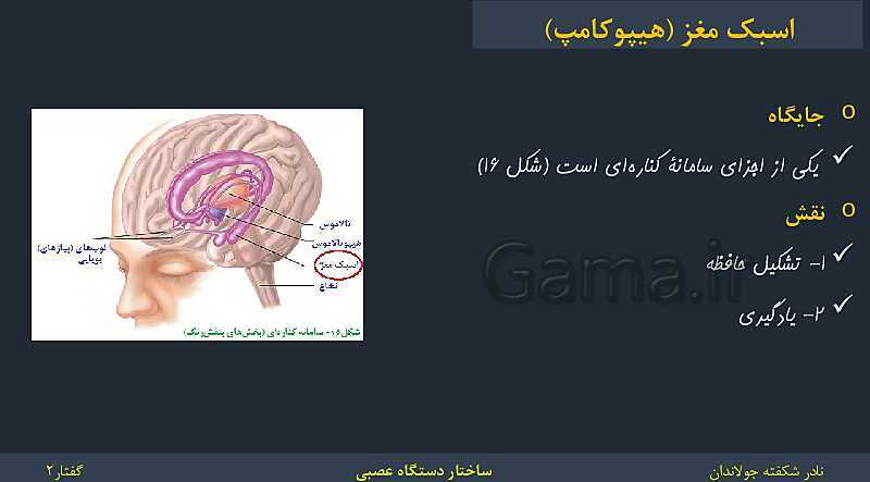 پاورپوینت زیست شناسی (2) یازدهم | فصل 1 | گفتار 2: ساختار دستگاه عصبی- پیش نمایش