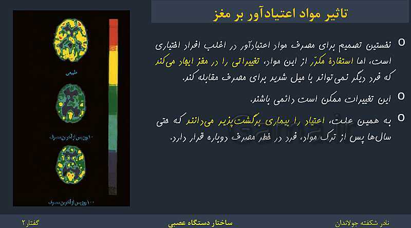 پاورپوینت زیست شناسی (2) یازدهم | فصل 1 | گفتار 2: ساختار دستگاه عصبی- پیش نمایش