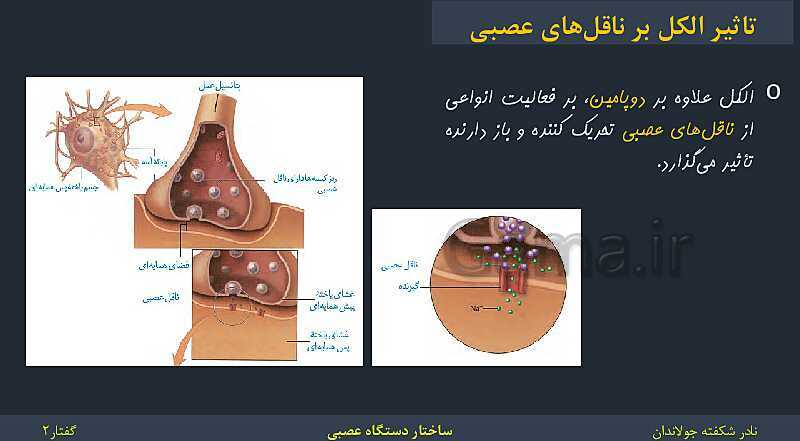 پاورپوینت زیست شناسی (2) یازدهم | فصل 1 | گفتار 2: ساختار دستگاه عصبی- پیش نمایش