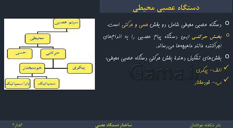 پاورپوینت زیست شناسی (2) یازدهم | فصل 1 | گفتار 2: ساختار دستگاه عصبی- پیش نمایش