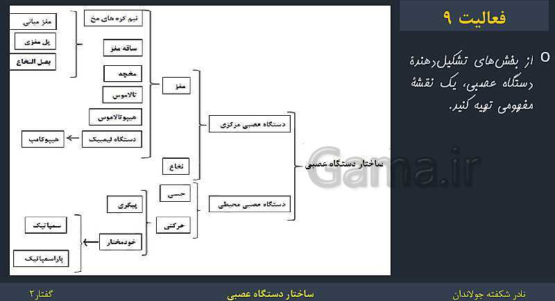 پاورپوینت زیست شناسی (2) یازدهم | فصل 1 | گفتار 2: ساختار دستگاه عصبی- پیش نمایش