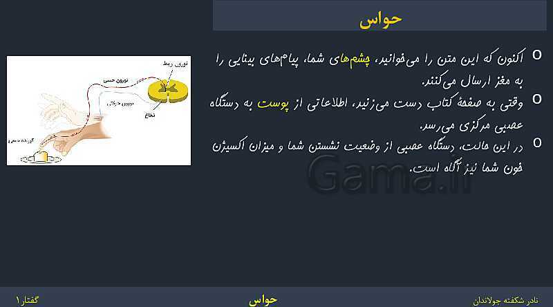 پاورپوینت زیست شناسی (2) یازدهم | فصل 2 | گفتار 1: گیرنده‌های حسی- پیش نمایش