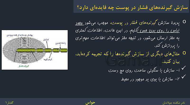 پاورپوینت زیست شناسی (2) یازدهم | فصل 2 | گفتار 1: گیرنده‌های حسی- پیش نمایش