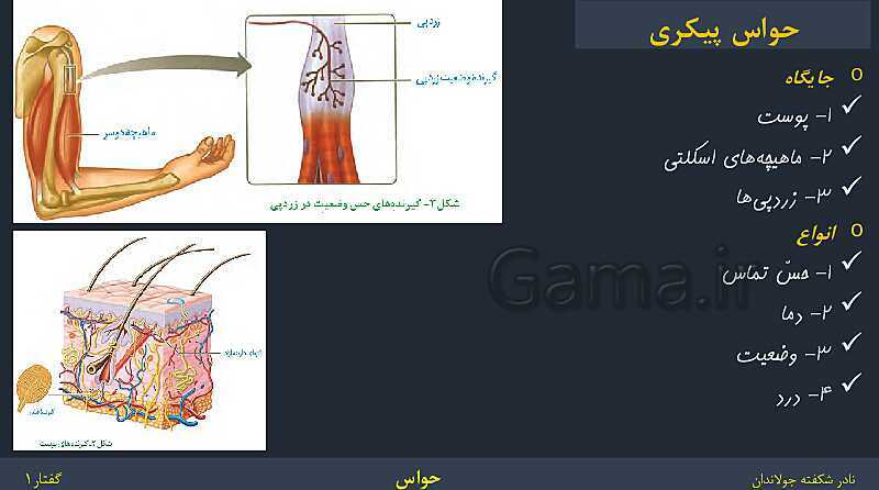 پاورپوینت زیست شناسی (2) یازدهم | فصل 2 | گفتار 1: گیرنده‌های حسی- پیش نمایش