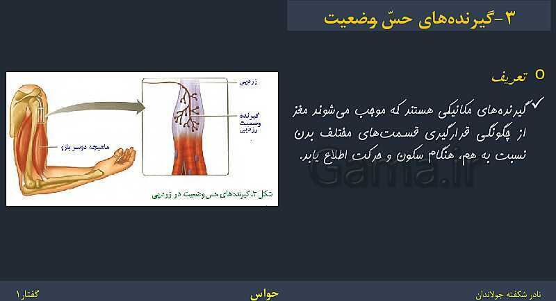 پاورپوینت زیست شناسی (2) یازدهم | فصل 2 | گفتار 1: گیرنده‌های حسی- پیش نمایش