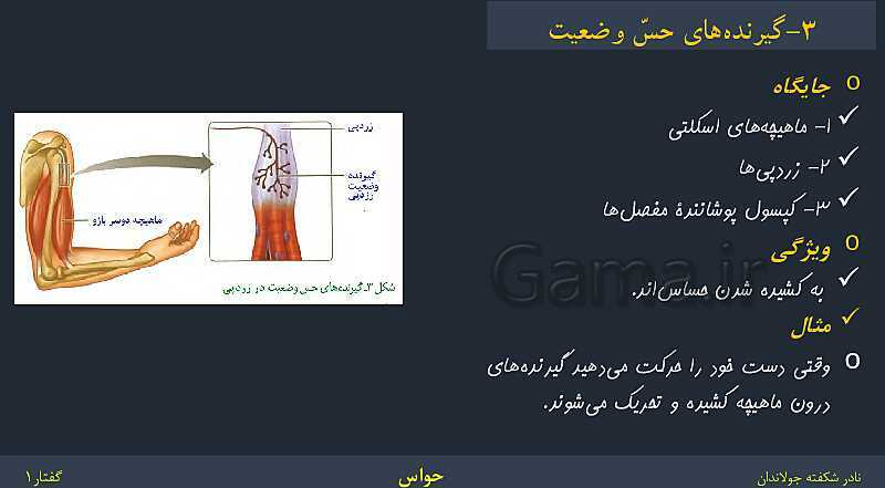 پاورپوینت زیست شناسی (2) یازدهم | فصل 2 | گفتار 1: گیرنده‌های حسی- پیش نمایش