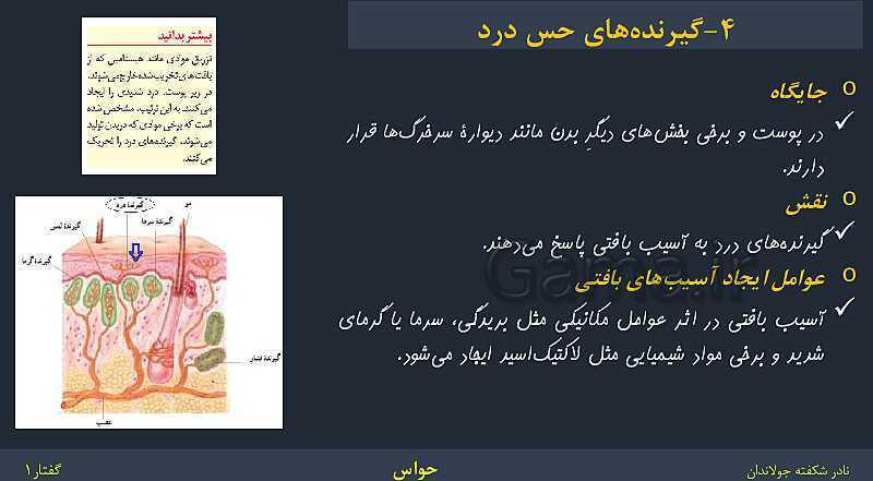 پاورپوینت زیست شناسی (2) یازدهم | فصل 2 | گفتار 1: گیرنده‌های حسی- پیش نمایش