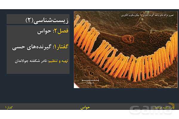 پاورپوینت زیست شناسی (2) یازدهم | فصل 2 | گفتار 1: گیرنده‌های حسی