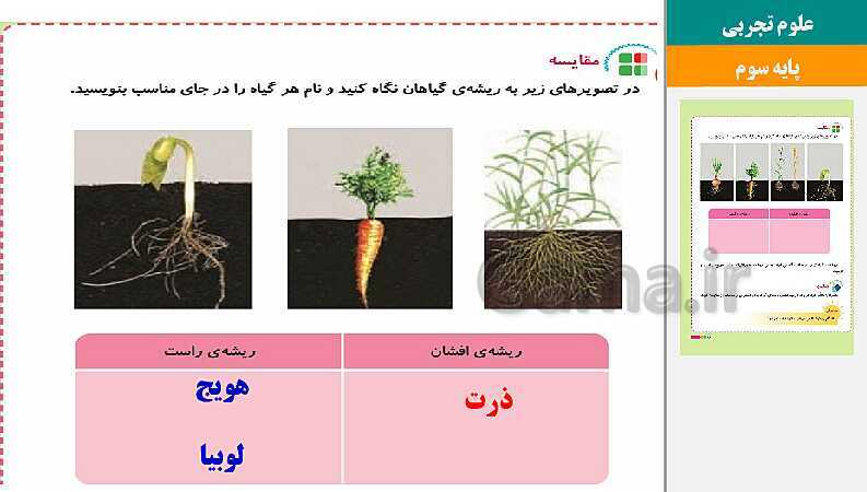 پاورپوینت متن کامل کتاب و پاسخ به فعالیت‌های علوم تجربی سوم دبستان | درس 1 تا 14- پیش نمایش