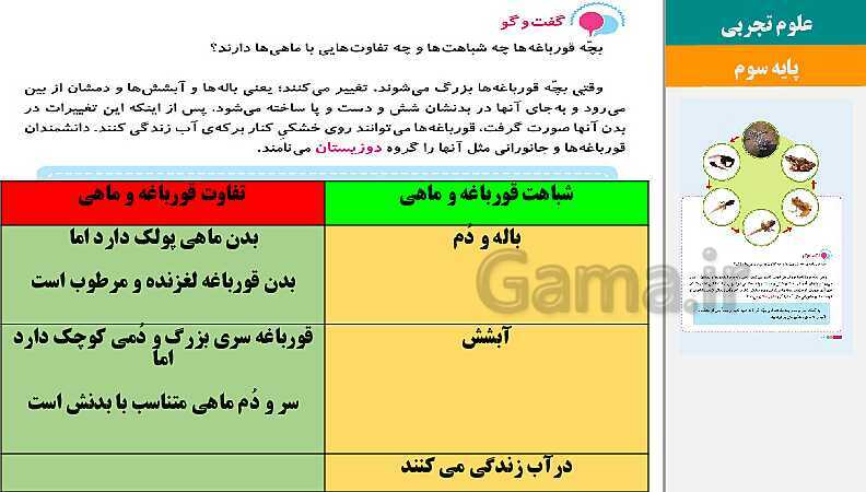 پاورپوینت متن کامل کتاب و پاسخ به فعالیت‌های علوم تجربی سوم دبستان | درس 1 تا 14- پیش نمایش